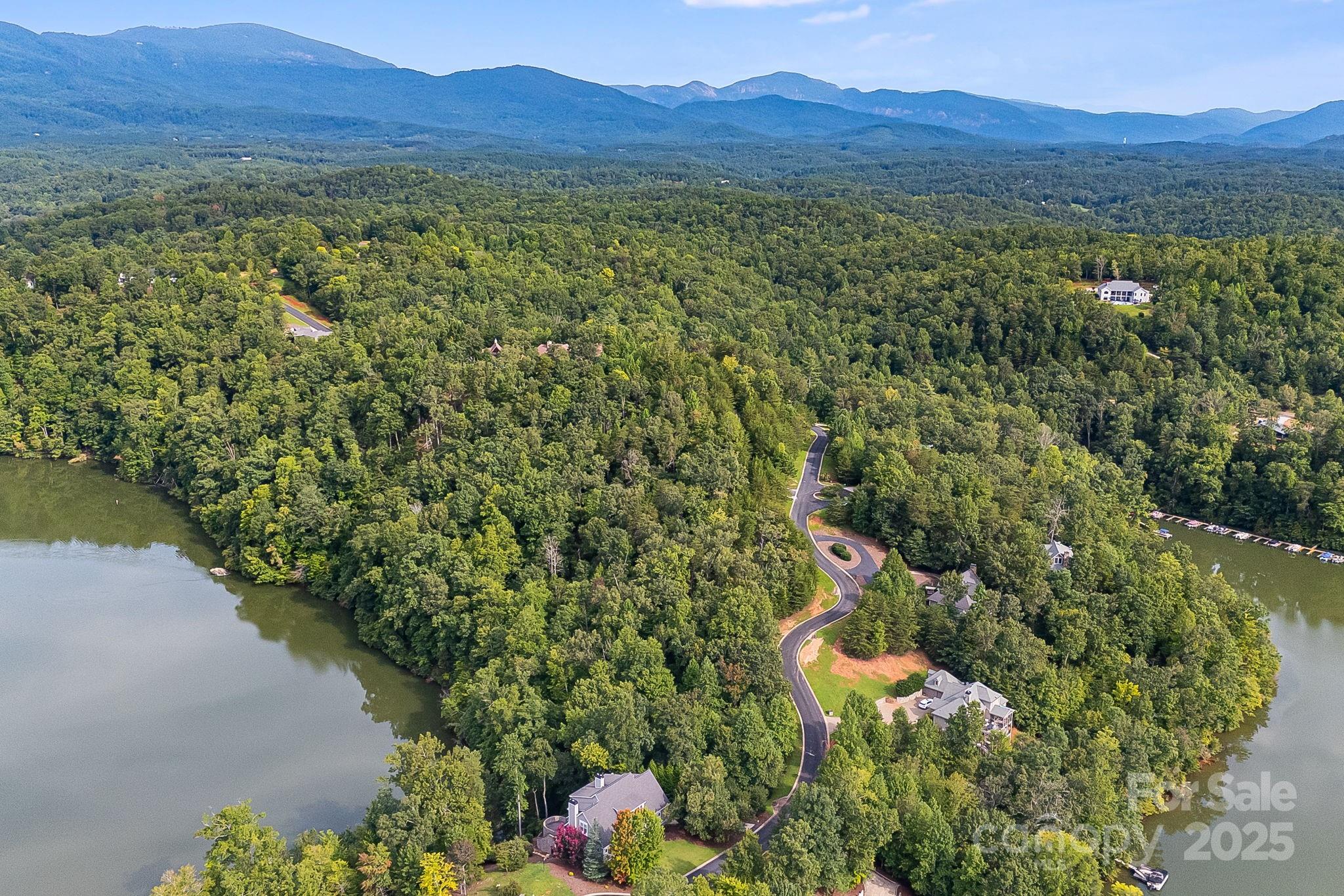 1140 Laurel Crest Lane Mill Spring, NC 28756 - Photo 13 of 27