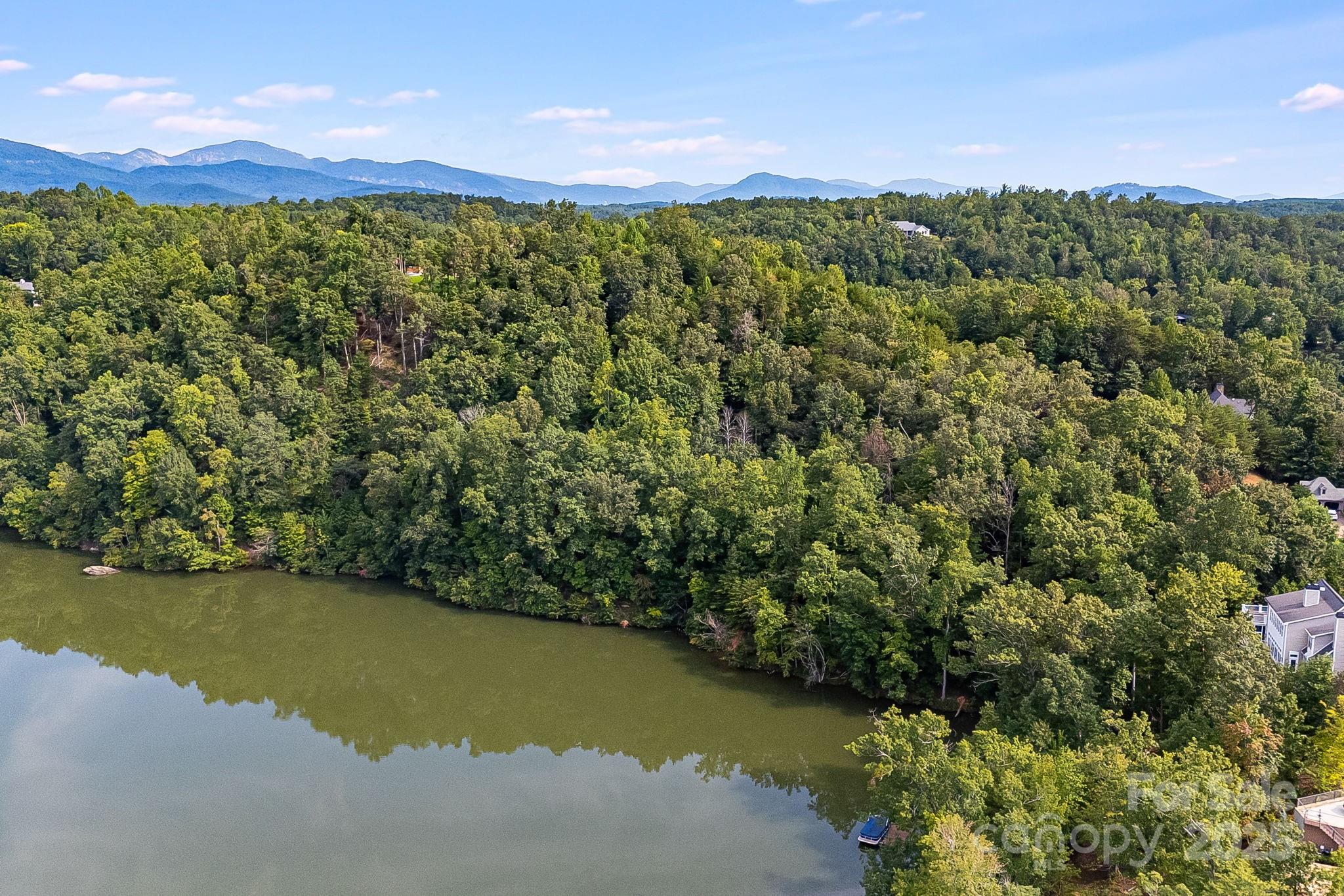 1140 Laurel Crest Lane Mill Spring, NC 28756 - Photo 16 of 27