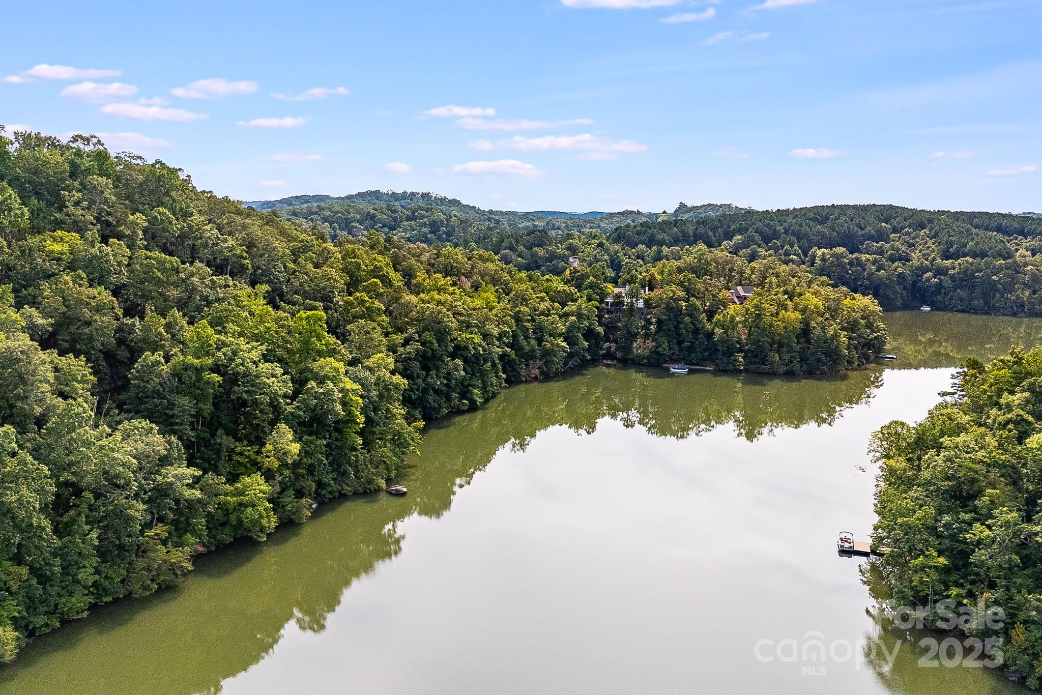 1140 Laurel Crest Lane Mill Spring, NC 28756 - Photo 17 of 27