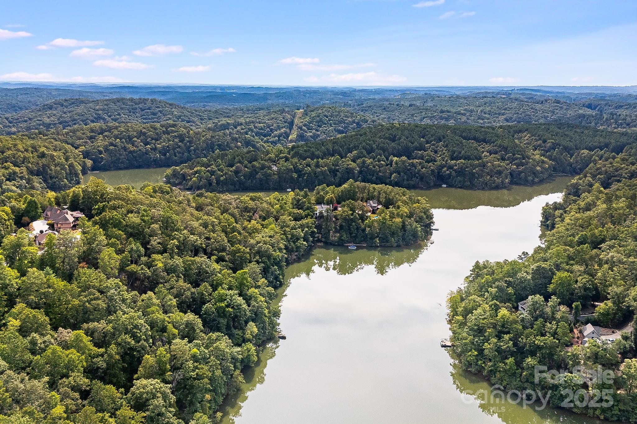 1140 Laurel Crest Lane Mill Spring, NC 28756 - Photo 18 of 27