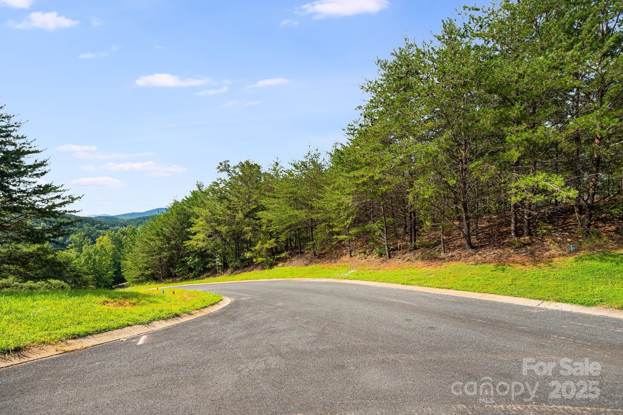 1140 Laurel Crest Lane Mill Spring, NC 28756 - Photo 21 of 27
