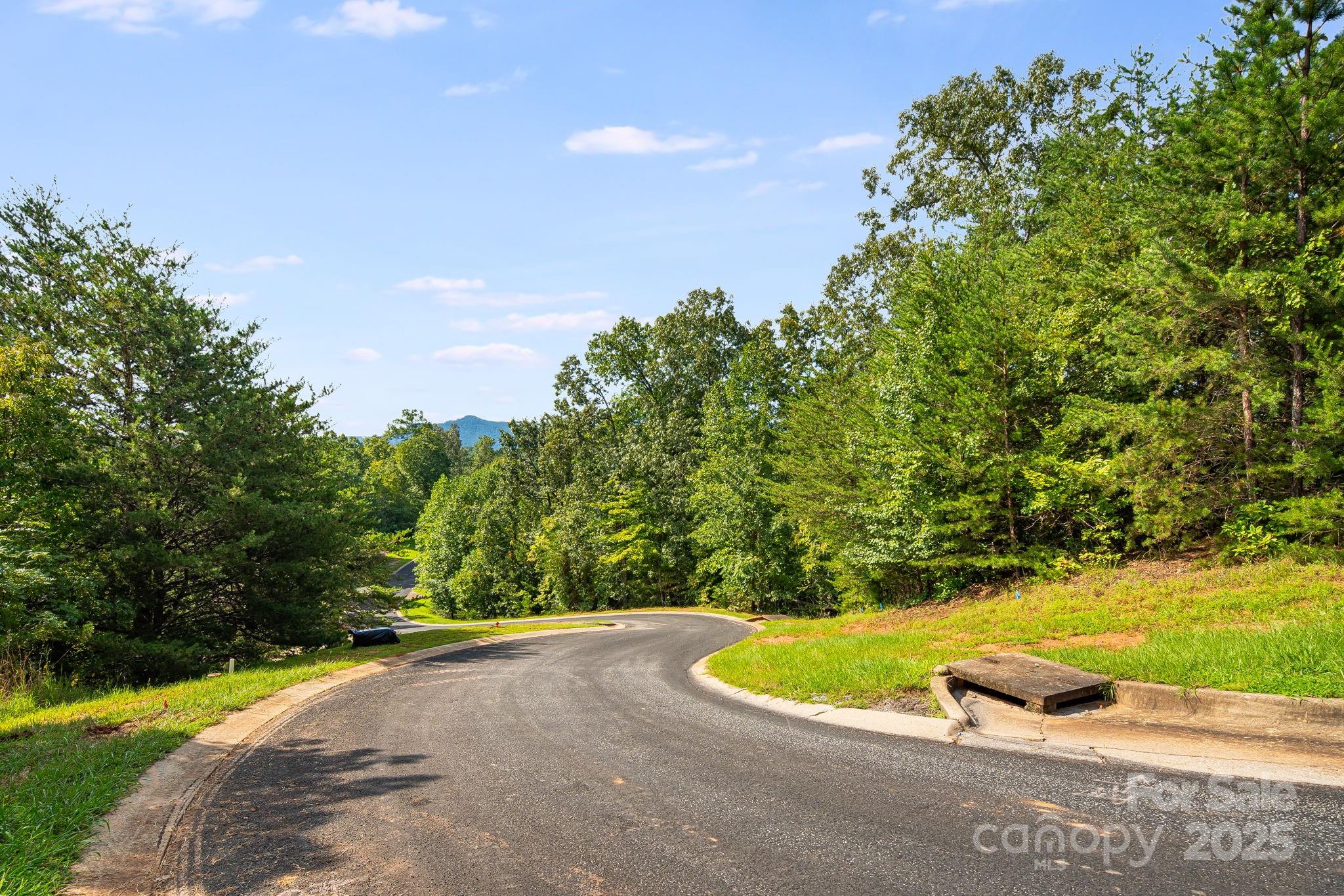 1140 Laurel Crest Lane Mill Spring, NC 28756 - Photo 22 of 27