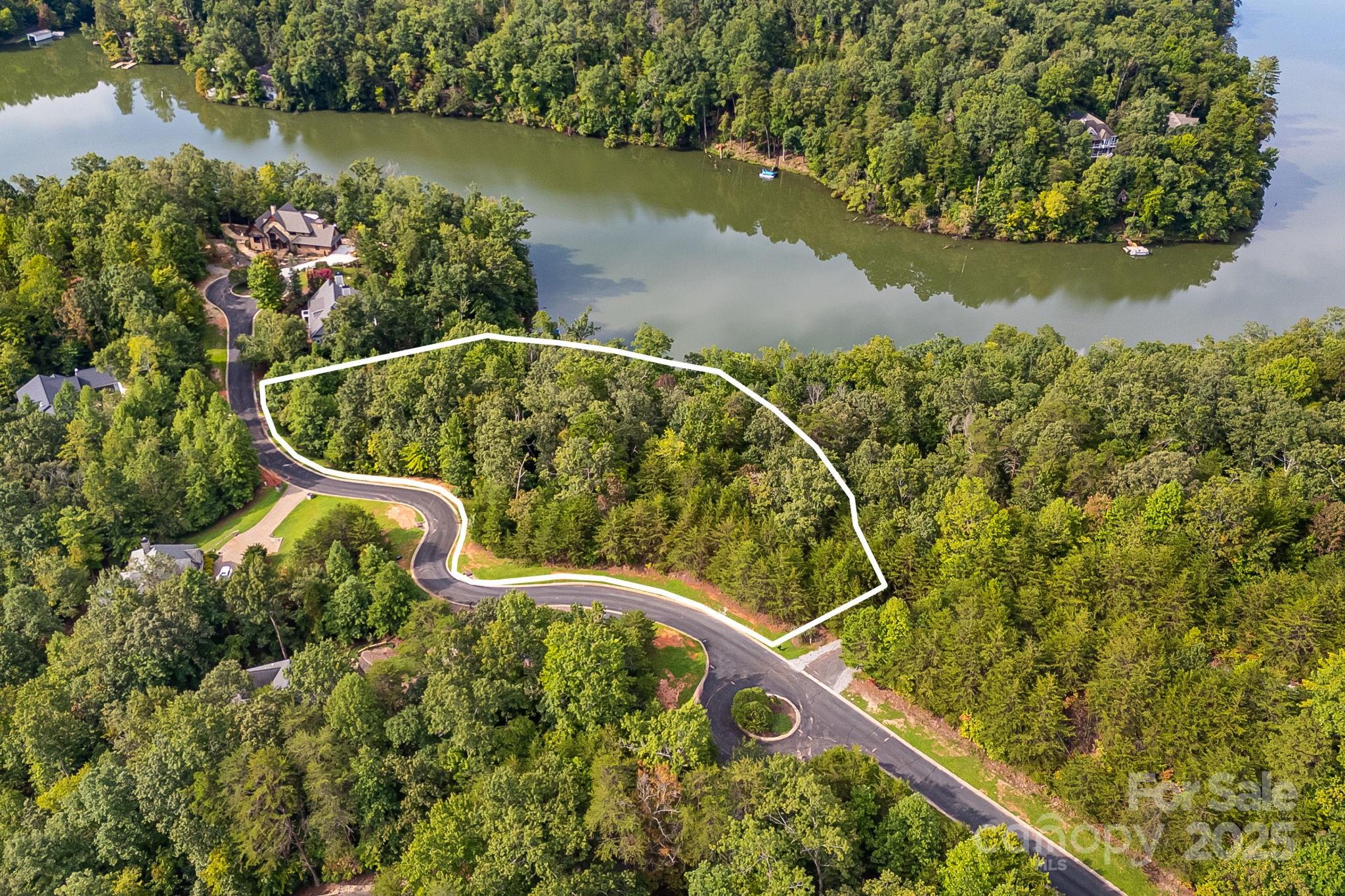 1140 Laurel Crest Lane Mill Spring, NC 28756 - Photo 4 of 27