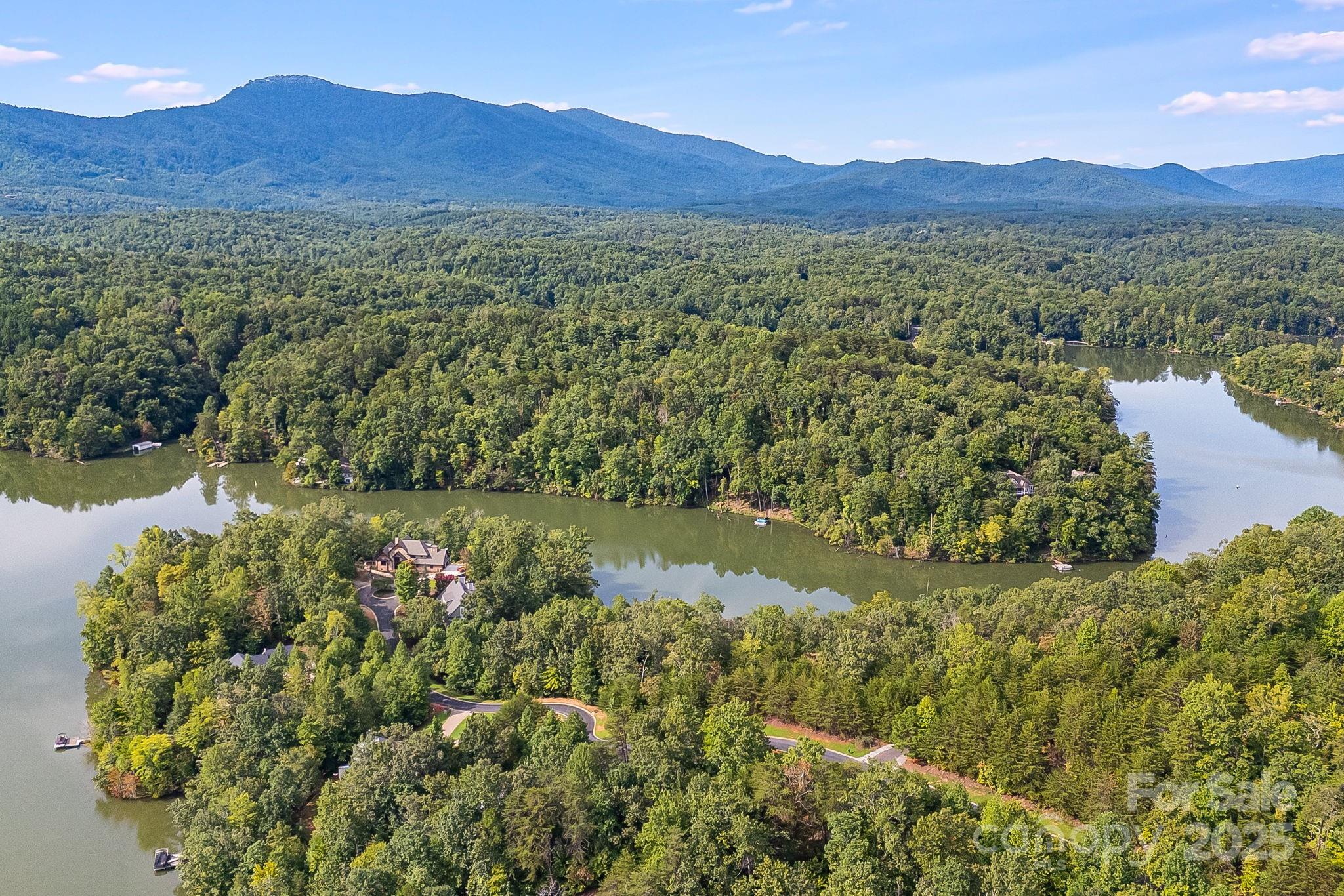 1140 Laurel Crest Lane Mill Spring, NC 28756 - Photo 8 of 27