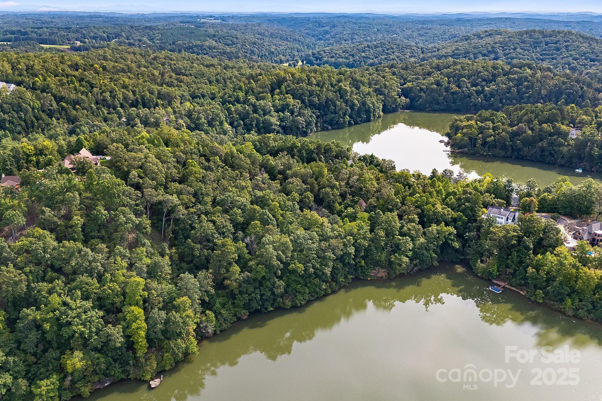 1140 Laurel Crest Lane Mill Spring, NC 28756 - Photo 10 of 27
