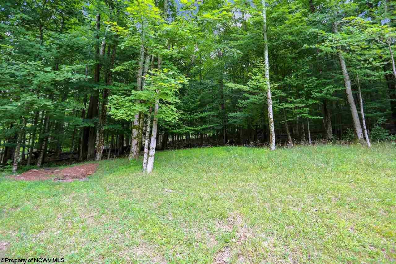 806 Cabin Mountain Road Davis, WV 26260 - Photo 29 of 30 Gallery Image 29
