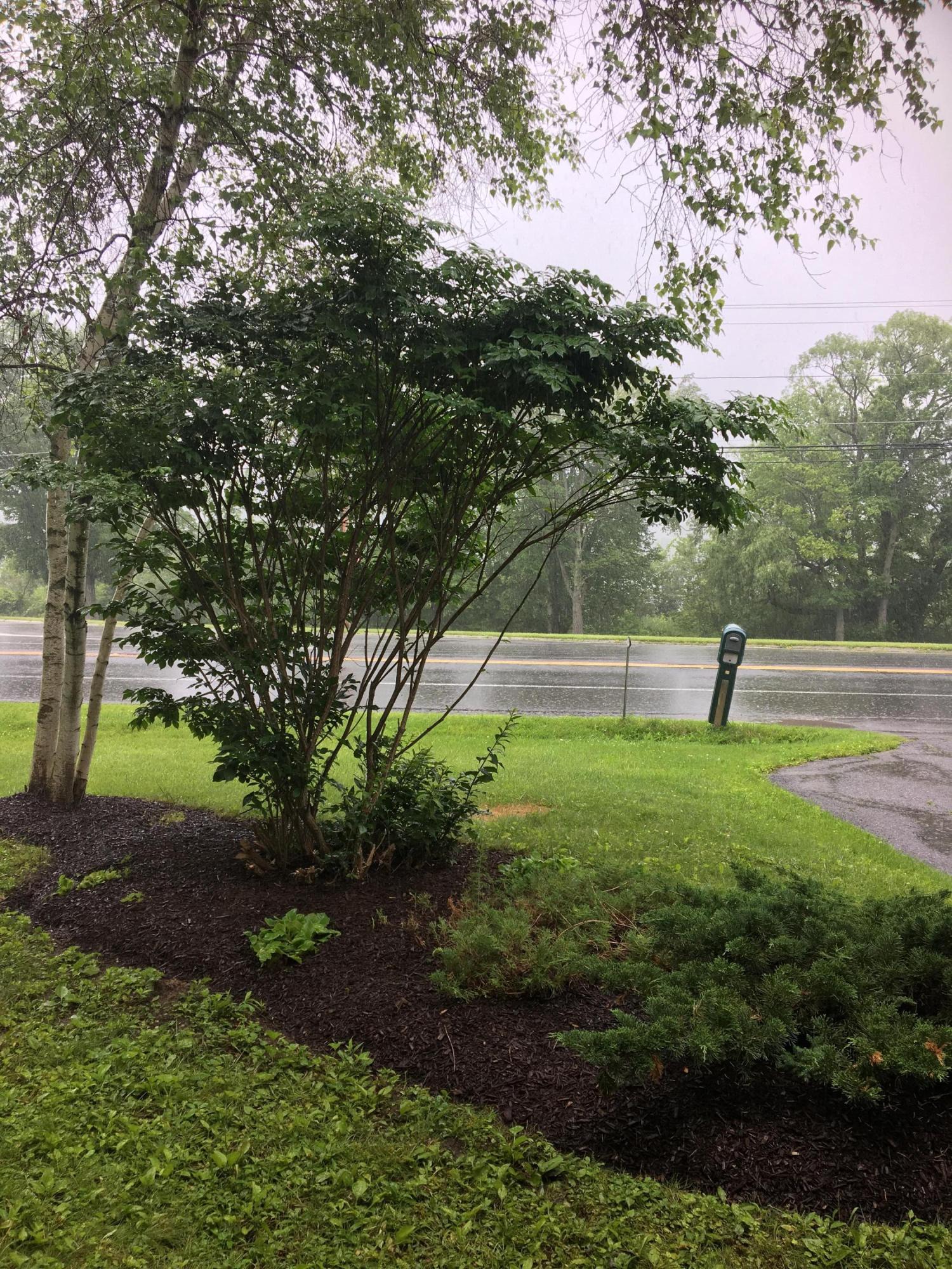 355 South State Road Cheshire, MA 01225 - Photo 30 of 31 front greenery