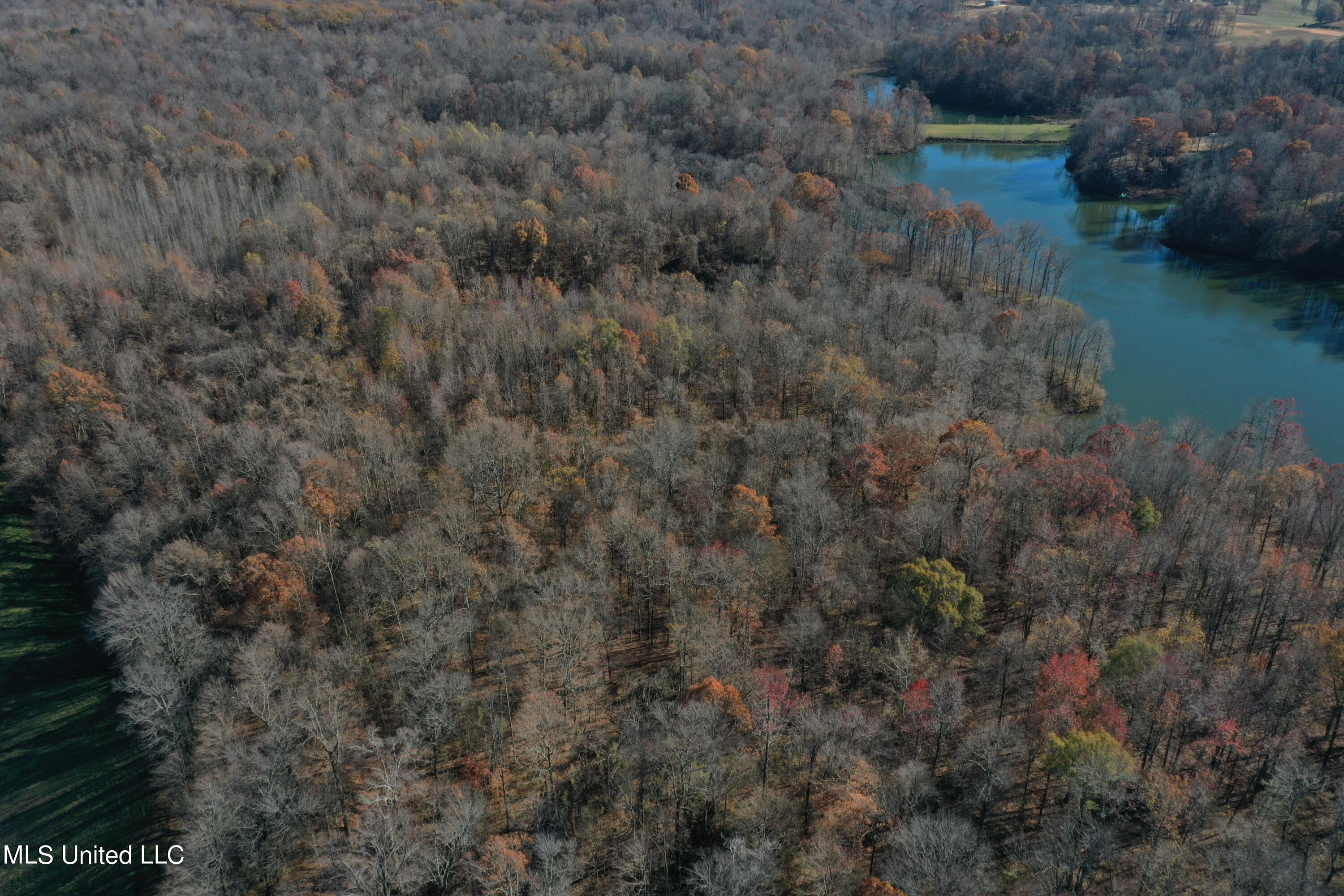 10150 Green River Road Lake Cormorant, MS 38641 - Photo 1 of 13 land