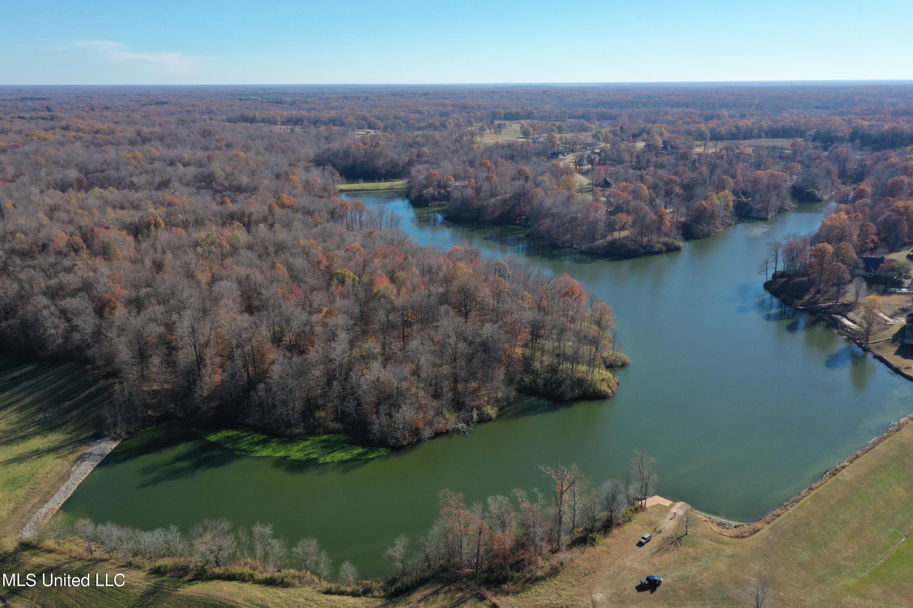 10150 Green River Road Lake Cormorant, MS 38641 - Photo 2 of 13 DJI_0097