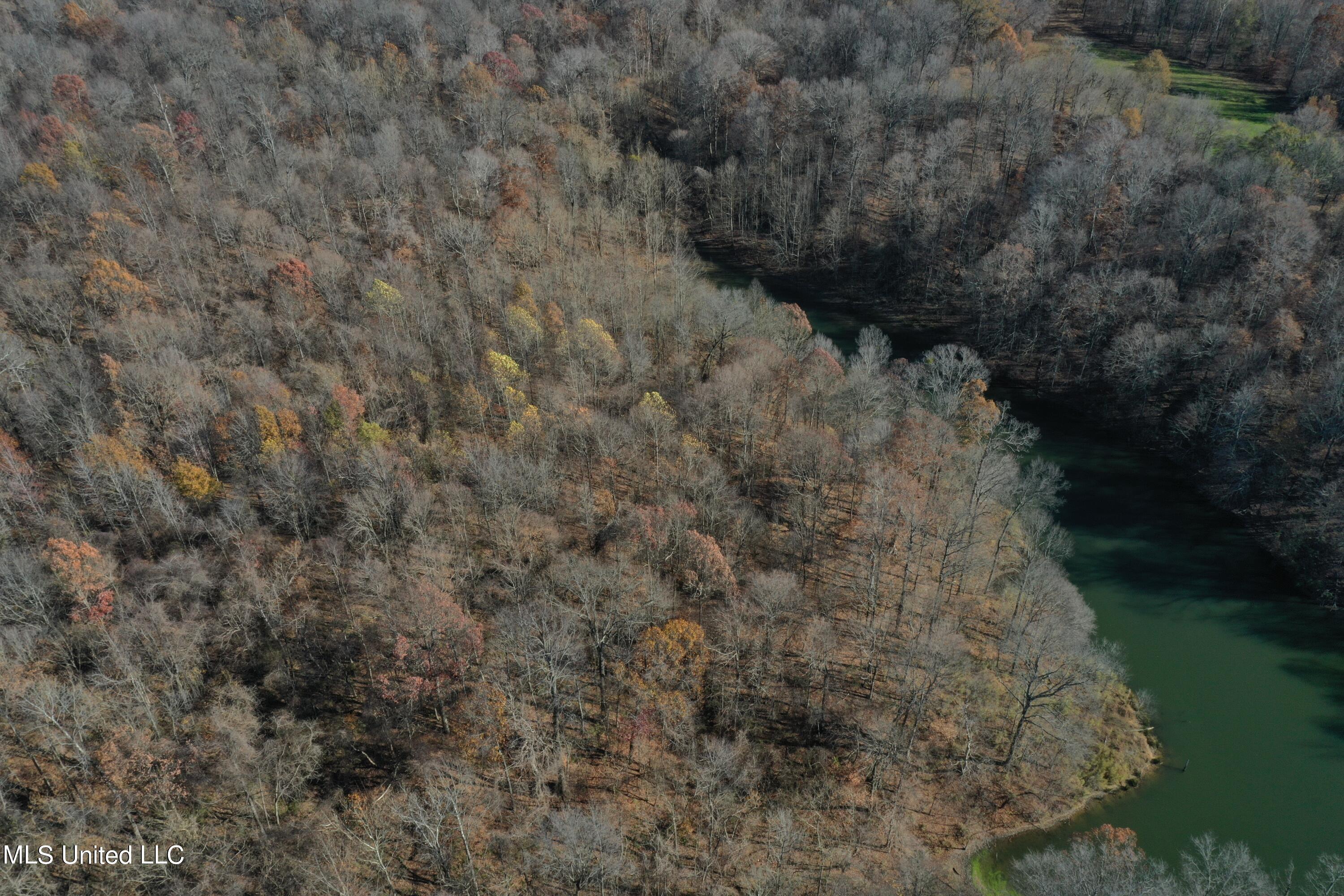 10150 Green River Road Lake Cormorant, MS 38641 - Photo 3 of 13 DJI_0105