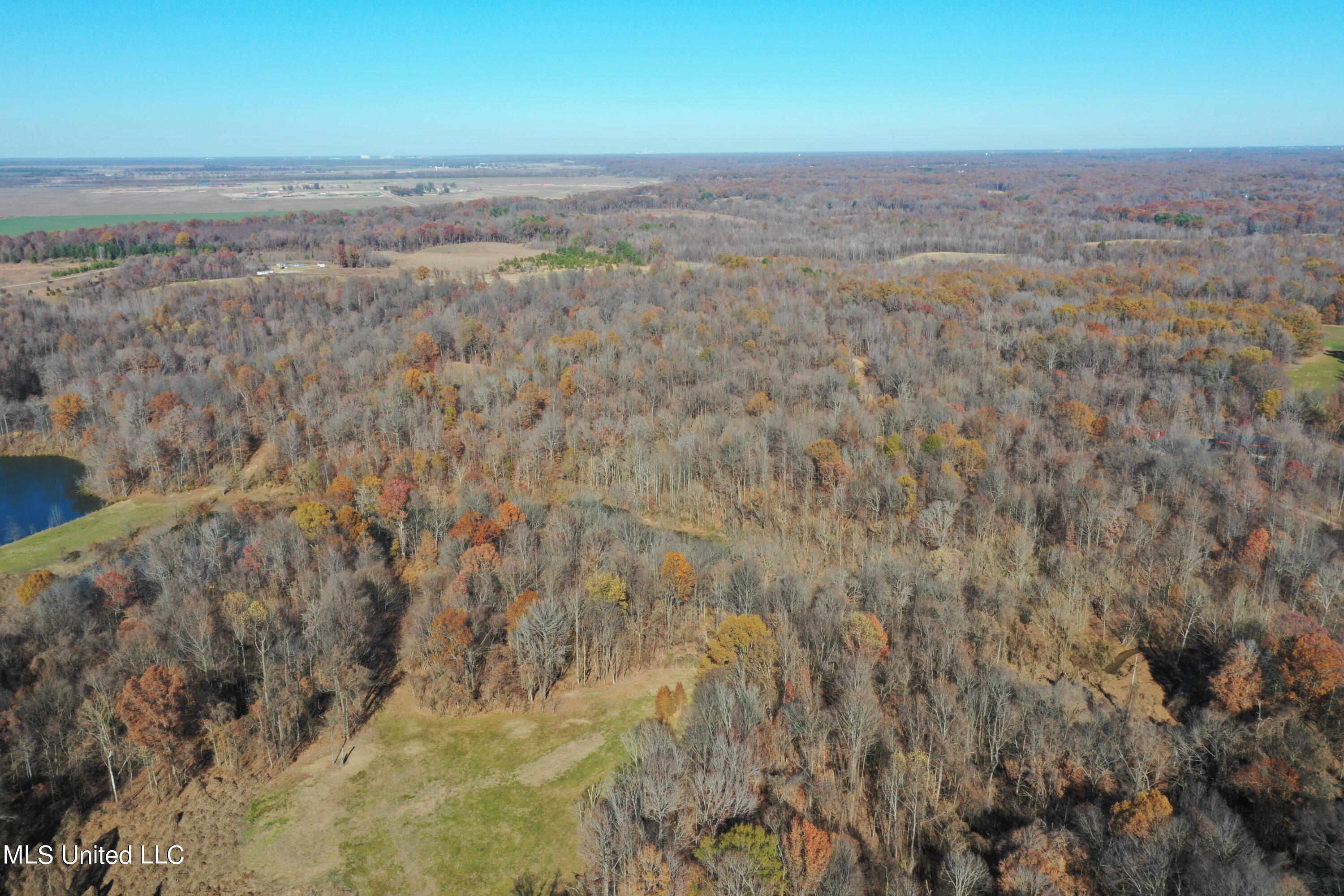 10150 Green River Road Lake Cormorant, MS 38641 - Photo 4 of 13 DJI_0110