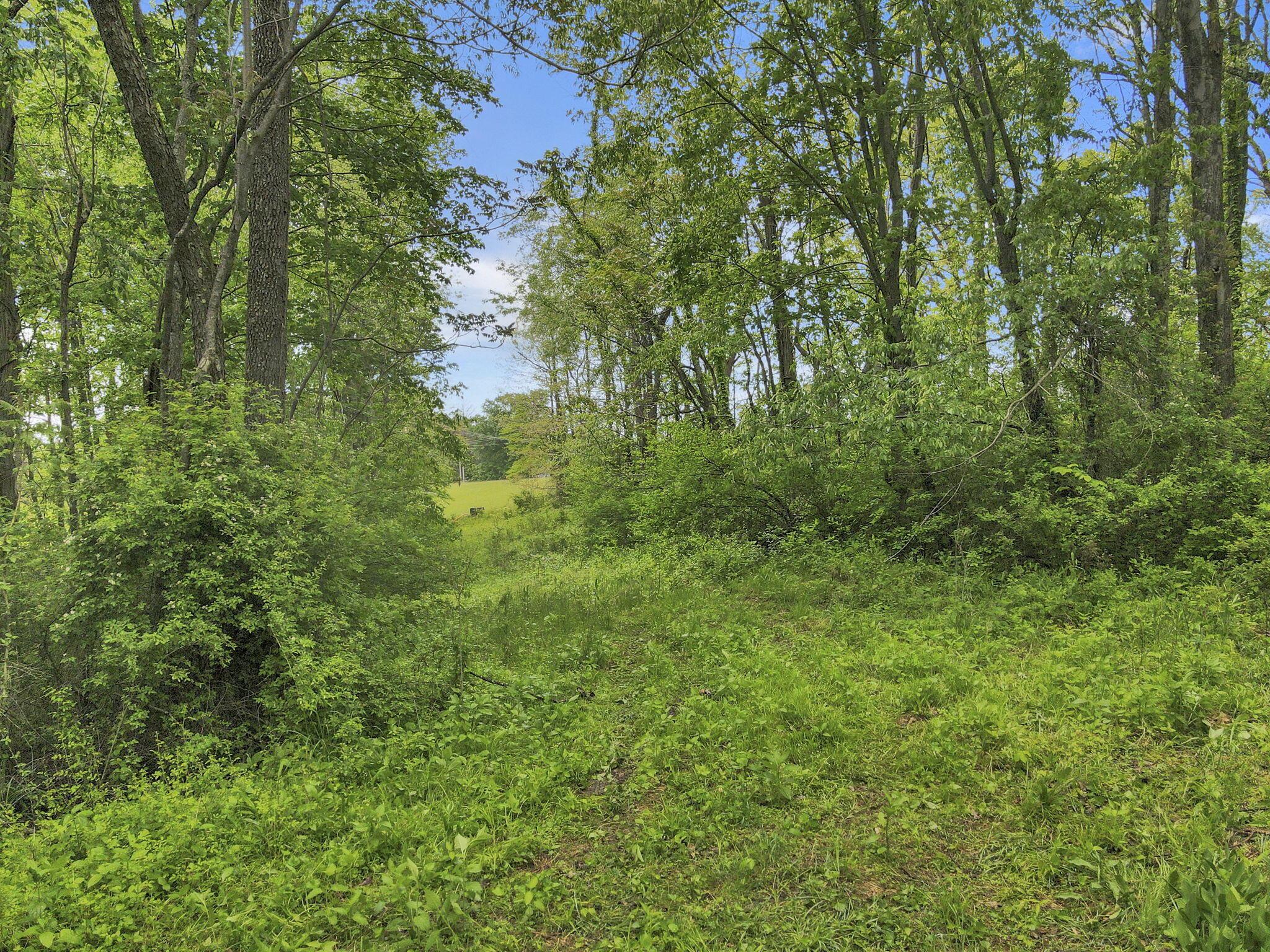 29500 Fairview Ridge Road Logan, OH 43138 - Photo 5 of 73 4-web-or-mls-DJI_0685