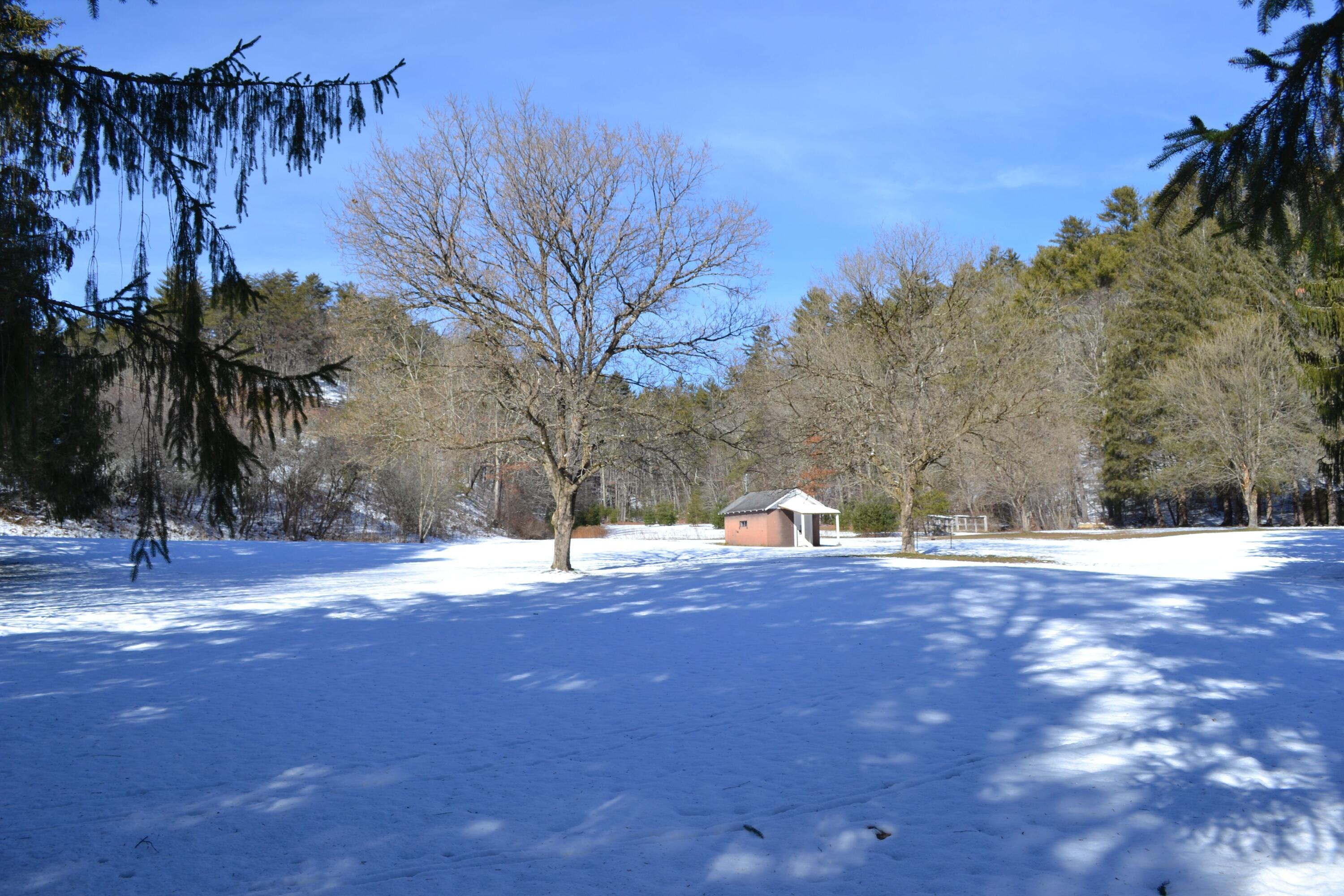 85 Green Acres Road Marlinton, WV 24954 - Photo 69 of 85 Gallery Image 69