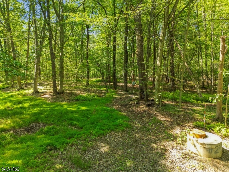 0 Homestead Road Gillette, NJ 07933 - Photo 15 of 26
