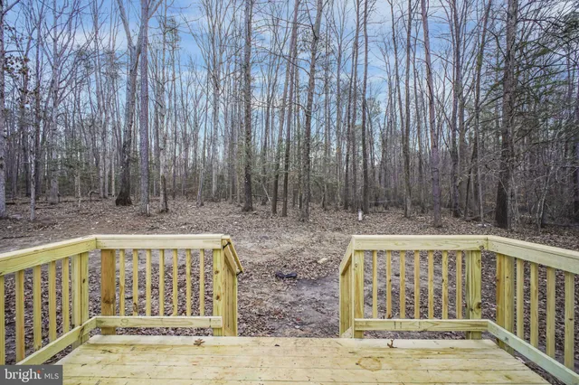 a backyard of a house with a large tree