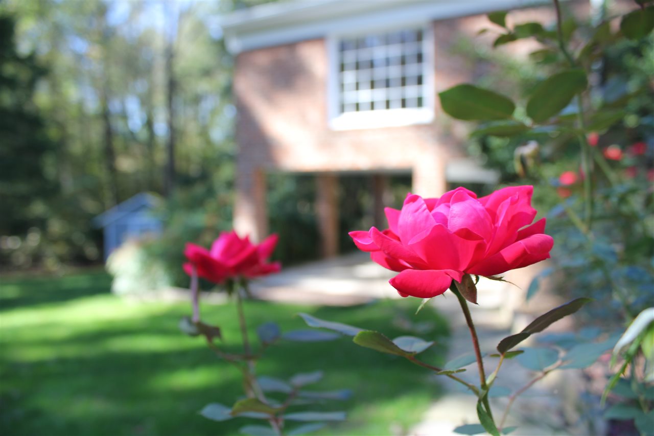 3736 St Marks Road Durham, NC 27707 - Photo 27 of 28 Photo 27