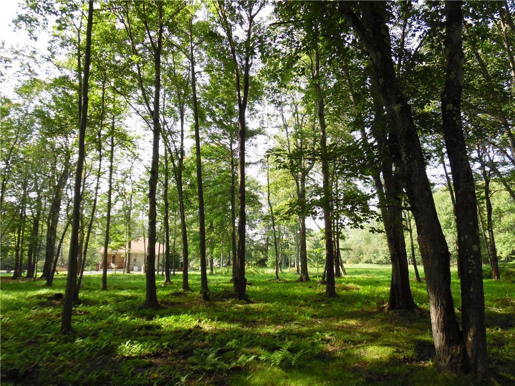 a large yard with lots of green space and trees