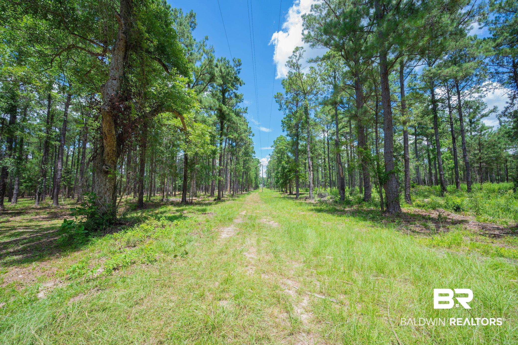 0 Hurricane Road Bay Minette, AL 36507 - Photo 1 of 30