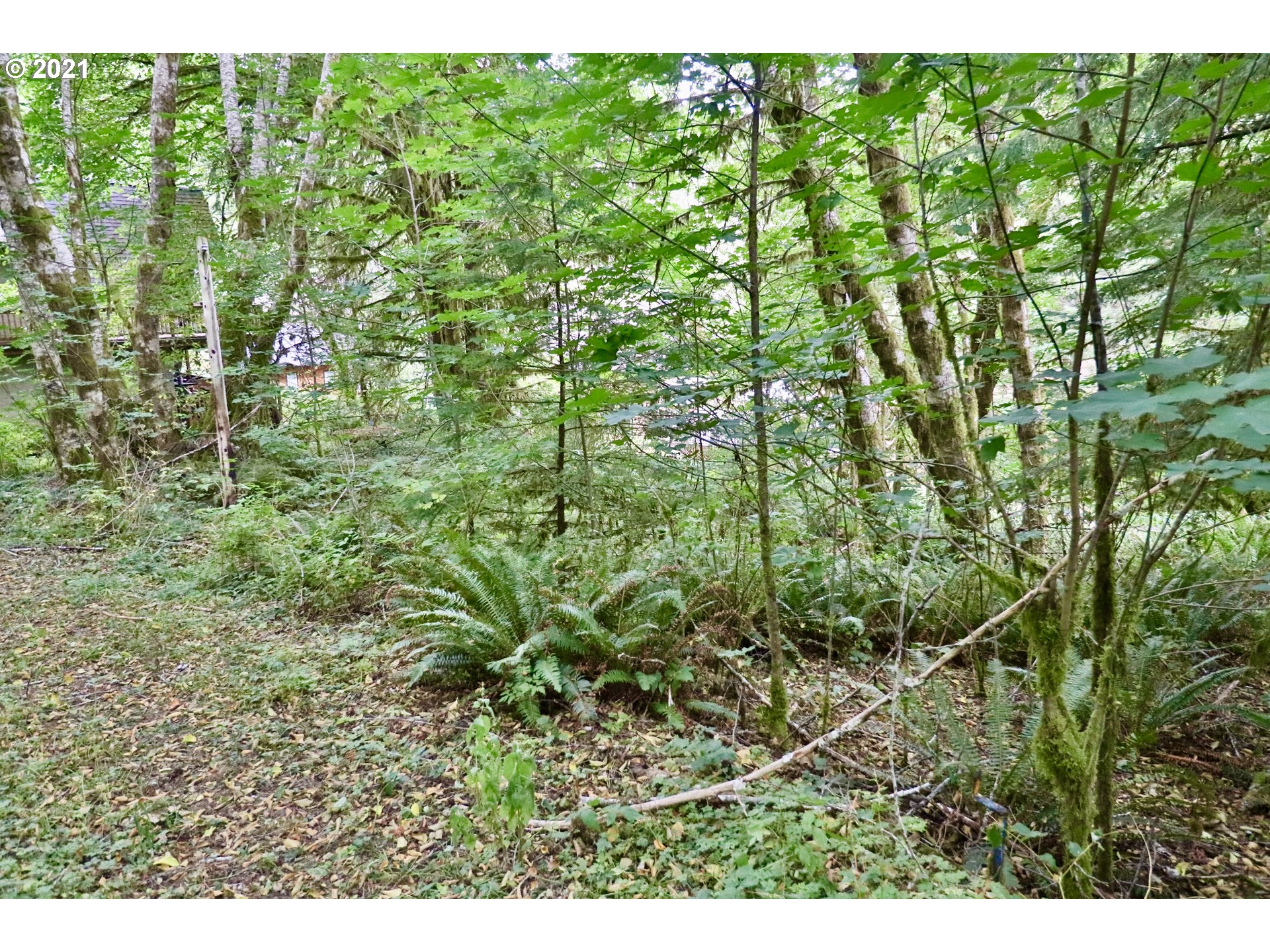 71541 Fishhawk Road Birkenfeld, OR 97016 - Photo 1 of 4 Gallery Image 1