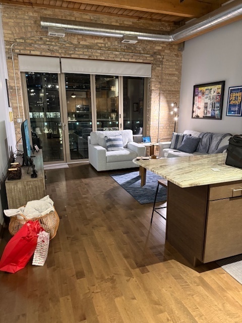 445 East Illinois Street, Unit 6404 Chicago, IL 60611 - Photo 6 of 23