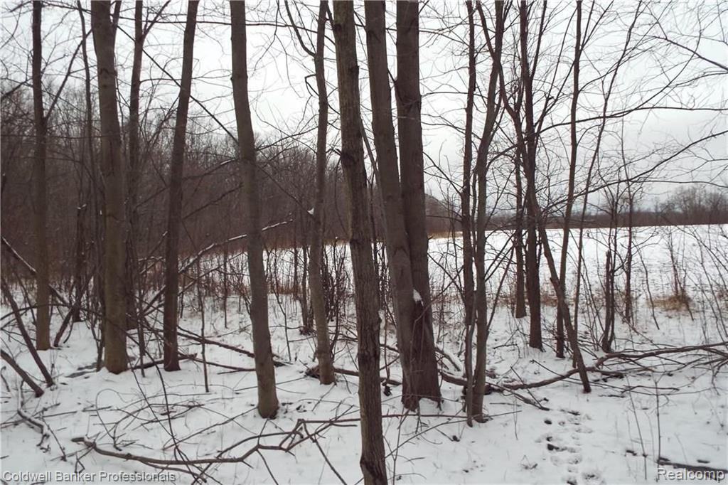 Eight West Eight Mile Road South Lyon, MI 48178 - Photo 35 of 58