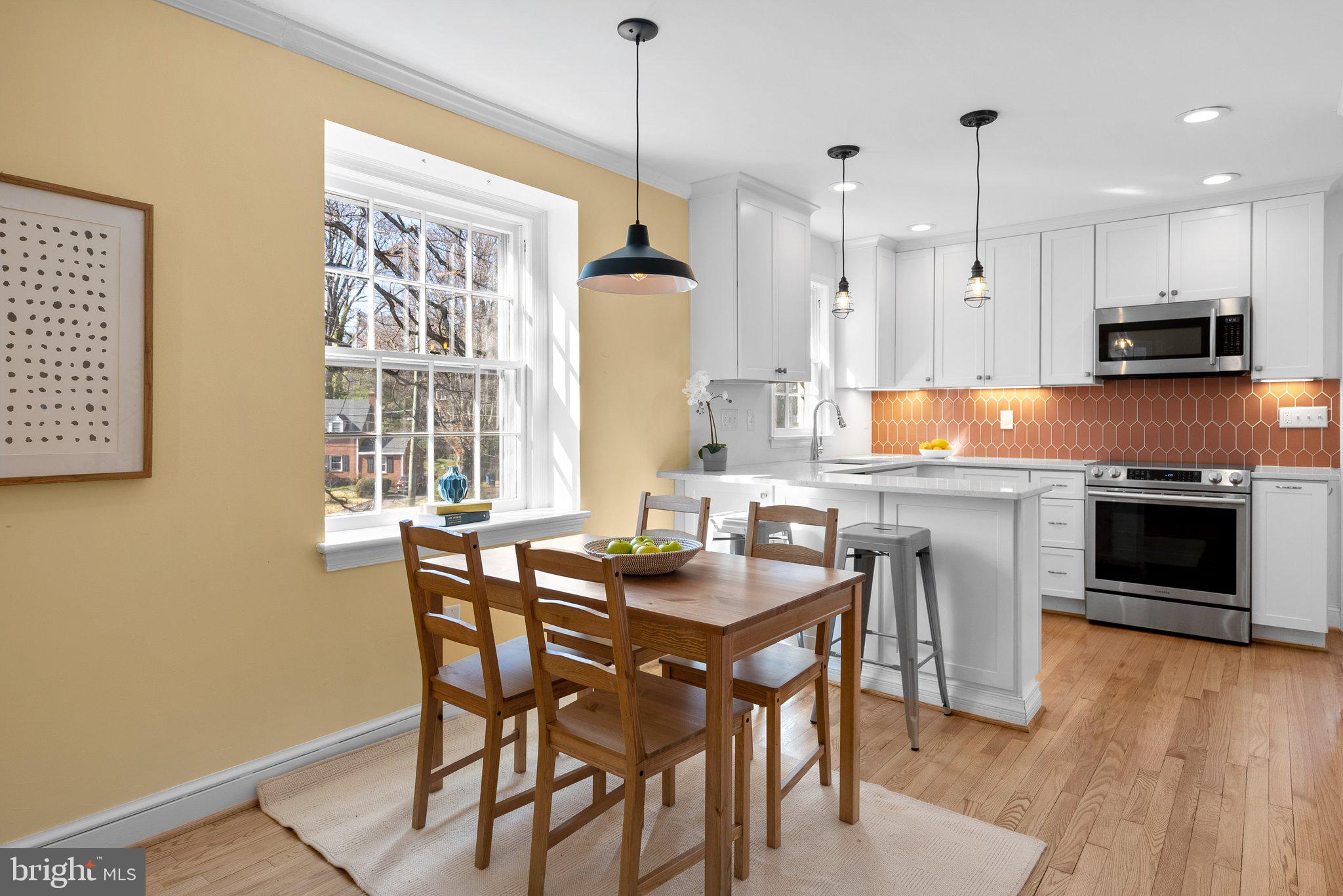 10207 Cherry Tree Lane Silver Spring, MD 20901 - Photo 4 of 53 Gallery Image 4