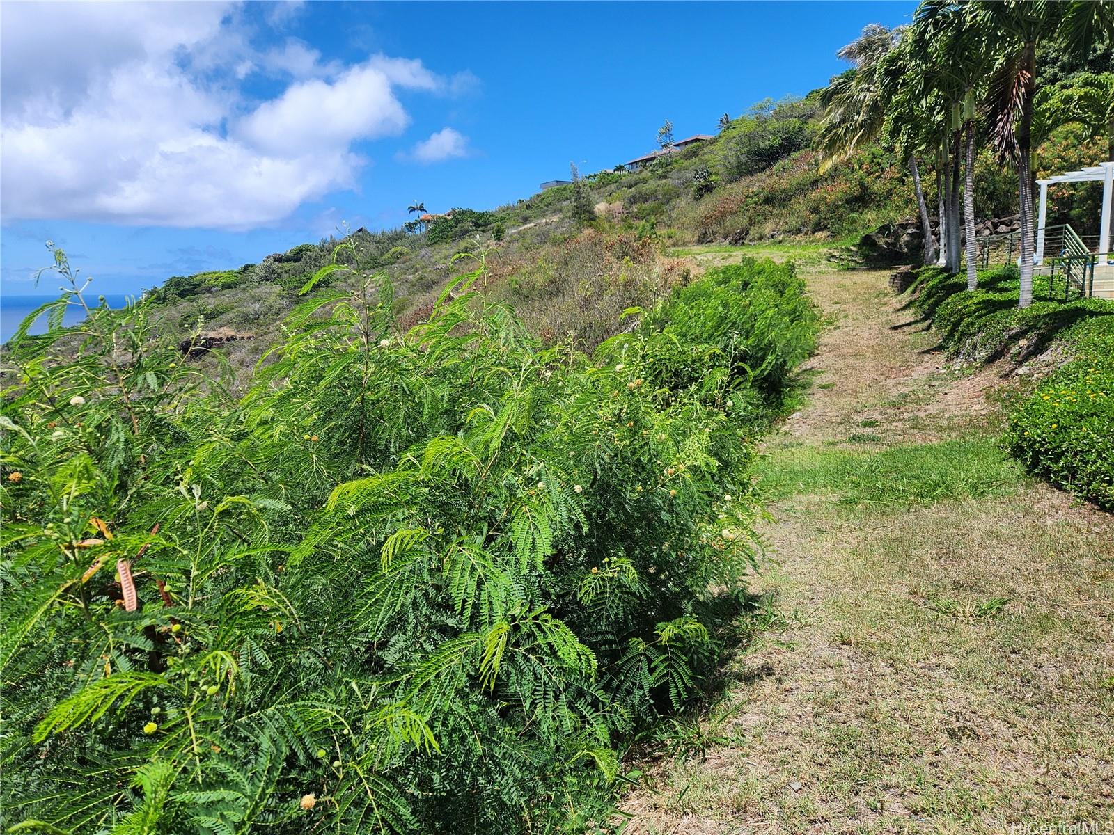 5442 Poola Street Honolulu, HI 96821 - Photo 11 of 13 a view of a large yard with lots of green space