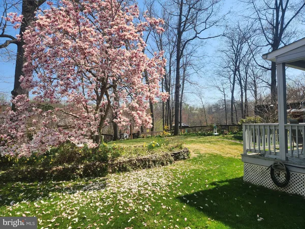 a view of a backyard with wooden fence