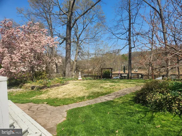 a view of a backyard with large trees