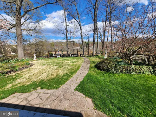 a view of a park with large trees