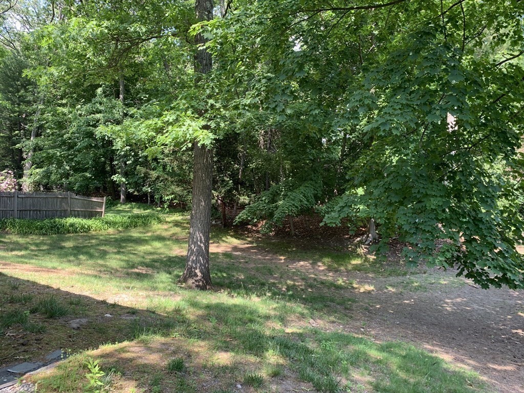 78 Whittier Road Wellesley, MA 02481 - Photo 6 of 27 a view of a trees with a yard