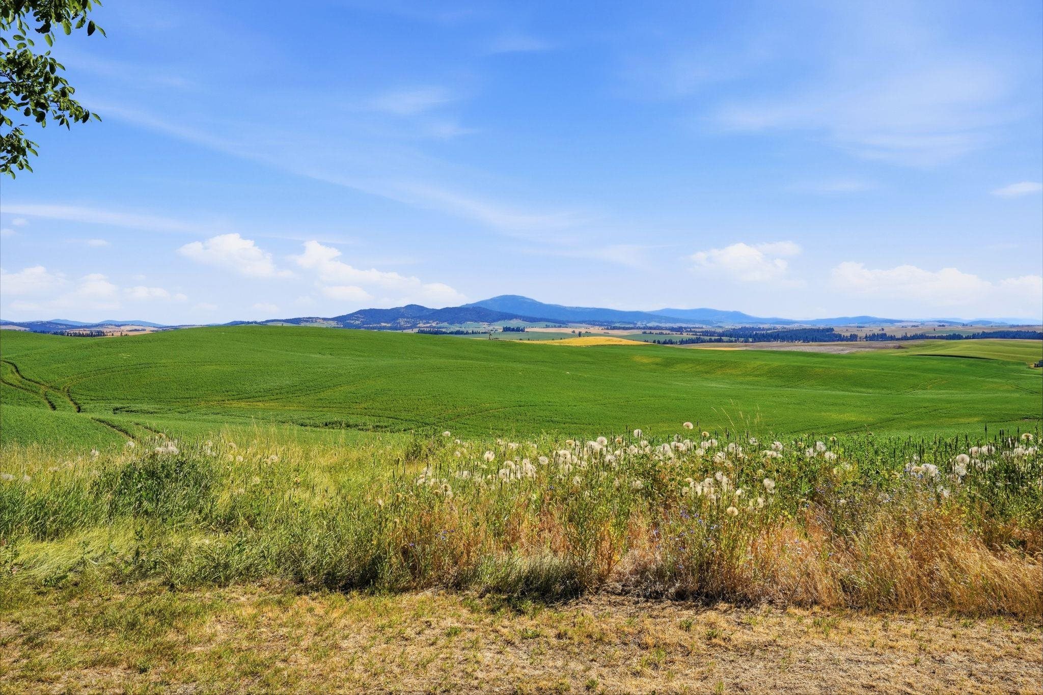 11213 East Cameron Road Fairfield, WA 99012 - Photo 43 of 47