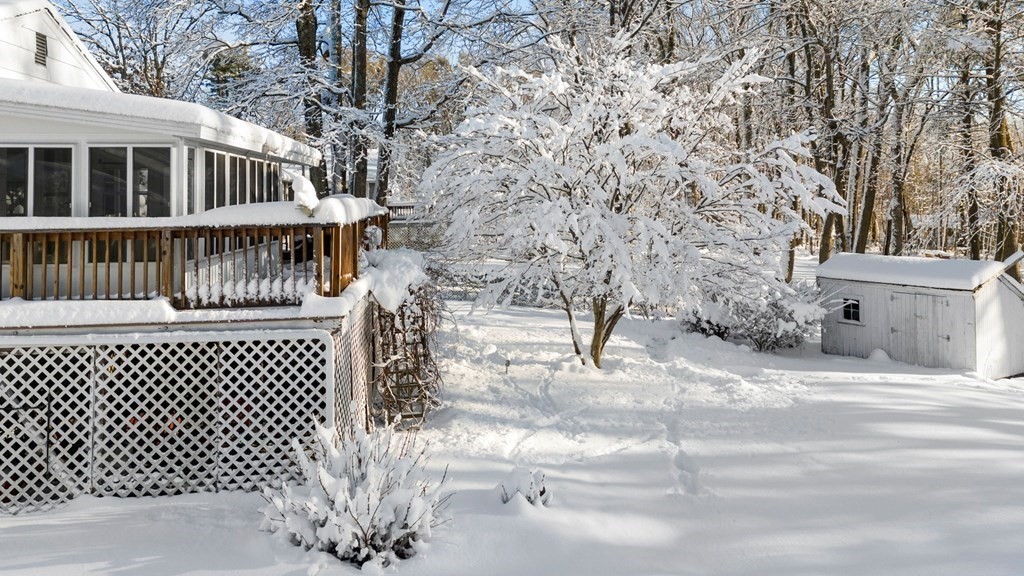8 Princeton Road Burlington, MA 01803 - Photo 31 of 41 Gallery Image 31