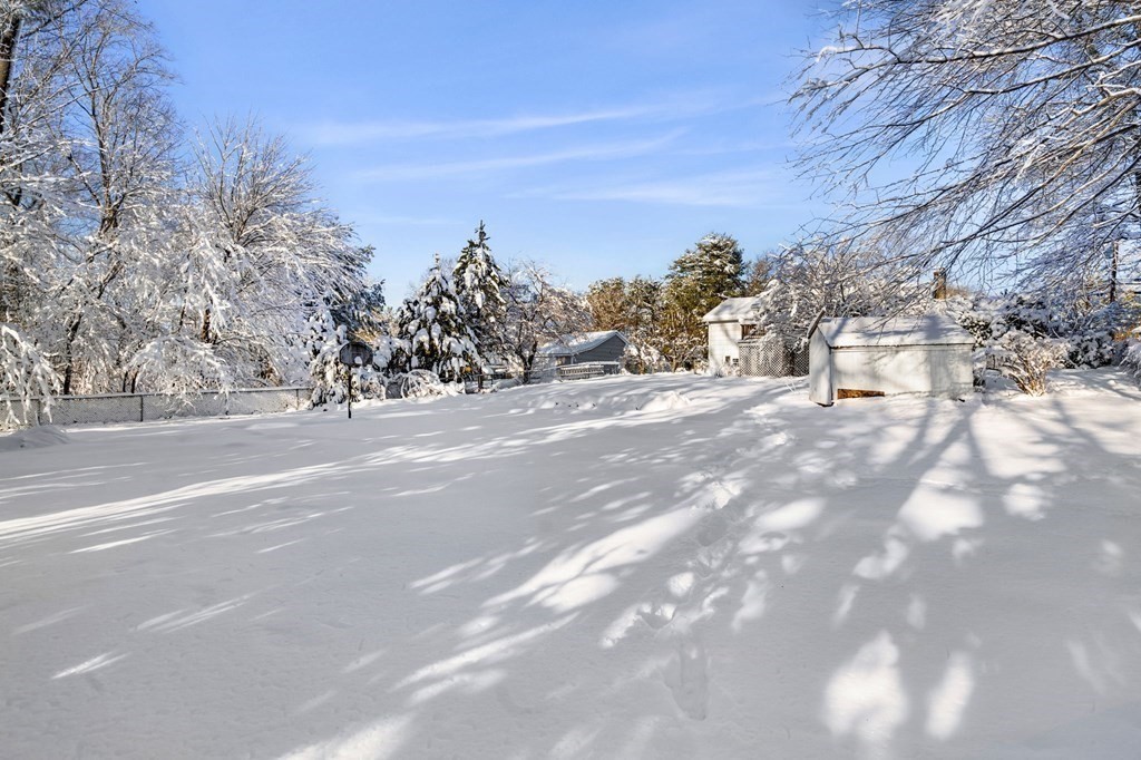 8 Princeton Road Burlington, MA 01803 - Photo 33 of 41 Gallery Image 33