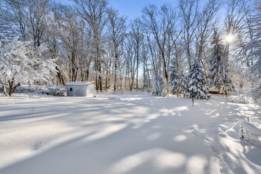 8 Princeton Road Burlington, MA 01803 - Photo 38 of 41 Gallery Image 38