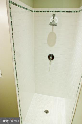 1917 2nd Street Northeast, Unit 201 Washington, DC 20002 - Photo 22 of 23 a bathroom with a shower