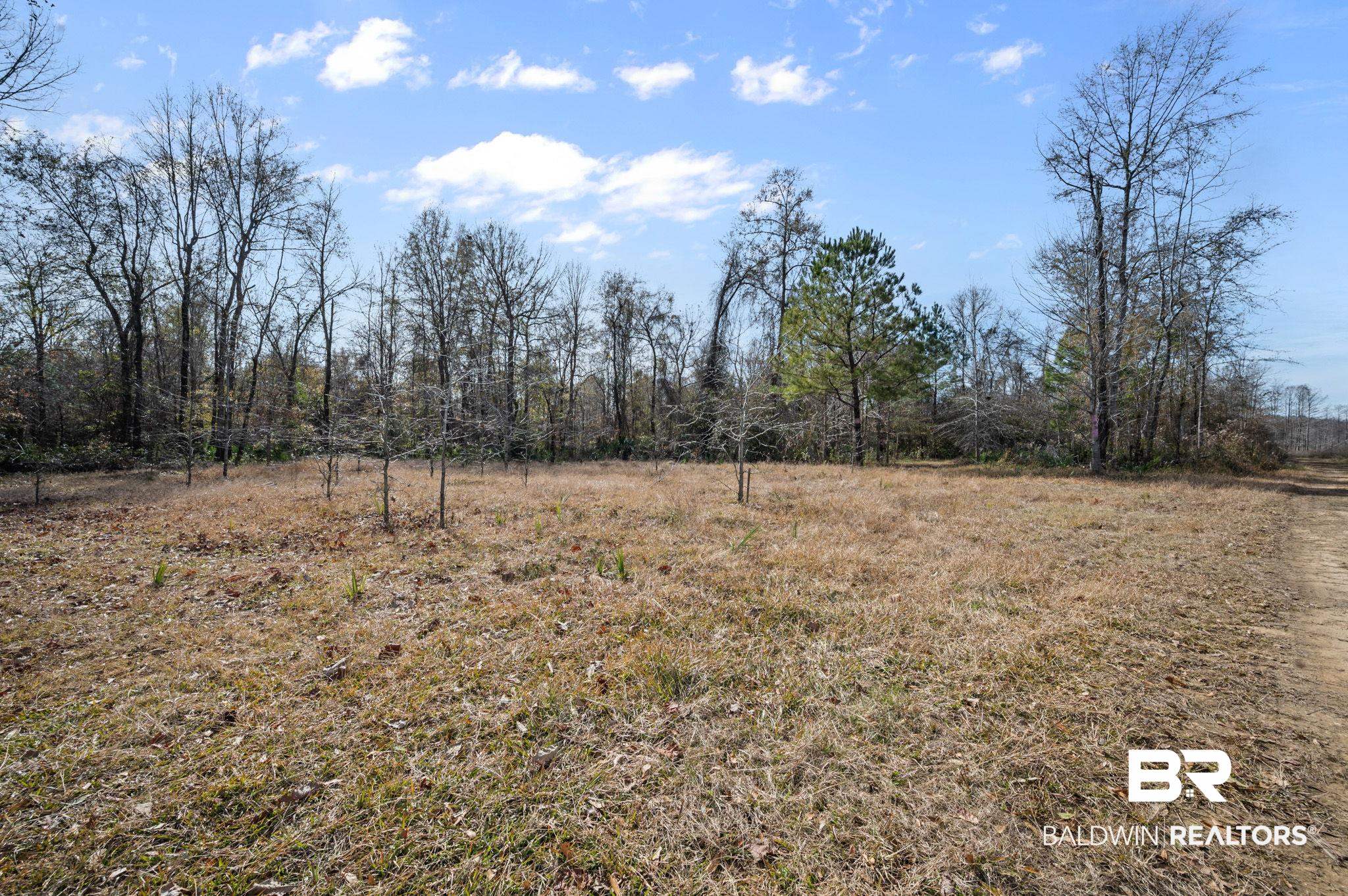 0 Bryant's Lndg Road Stockton, AL 36579 - Photo 22 of 29