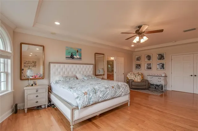 a view of a park with large trees