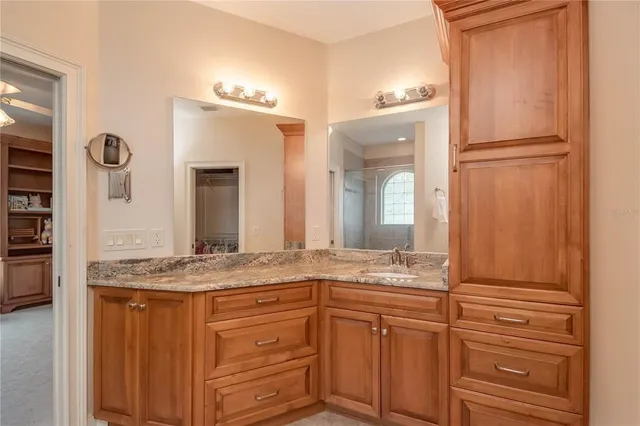 a view of a yard with plants and a trees