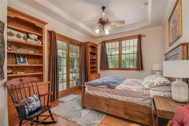 a view of a park with large trees