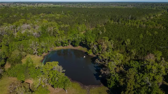 $3,995,000 | 12275 West Highway 318, Williston, FL 32696