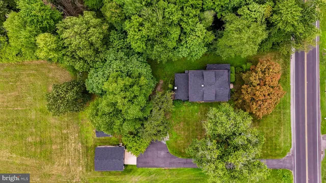 a view of a yard with plants