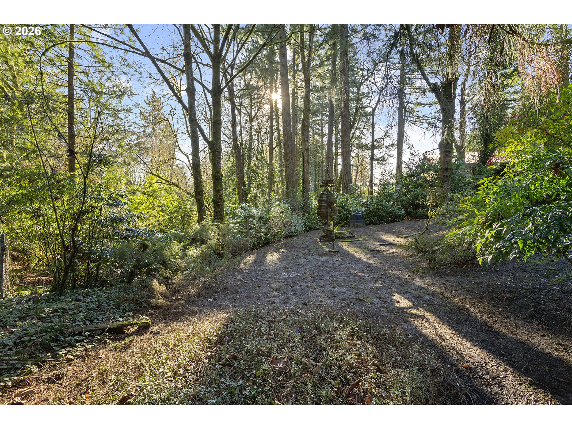 10410 Southwest 25th Avenue Portland, OR 97219 - Photo 11 of 39 a view of a forest with trees in the background