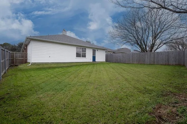 a view of a yard with a large tree