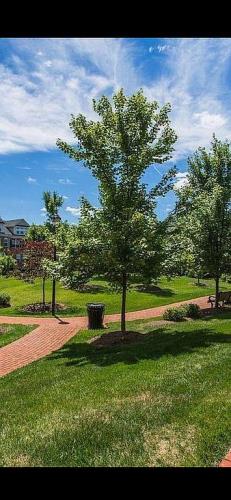 7996 Reserve Way Vienna, VA 22182 - Photo 13 of 29