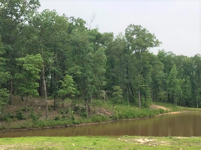 Parcel B Old Dibble Road Aiken, SC 29803 - Photo 2 of 17