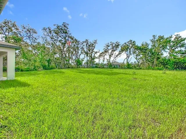 a view of a grassy field with trees