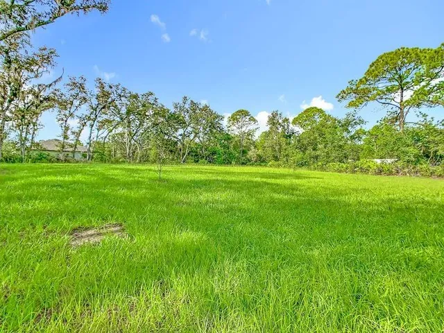 a yard with lots of green space