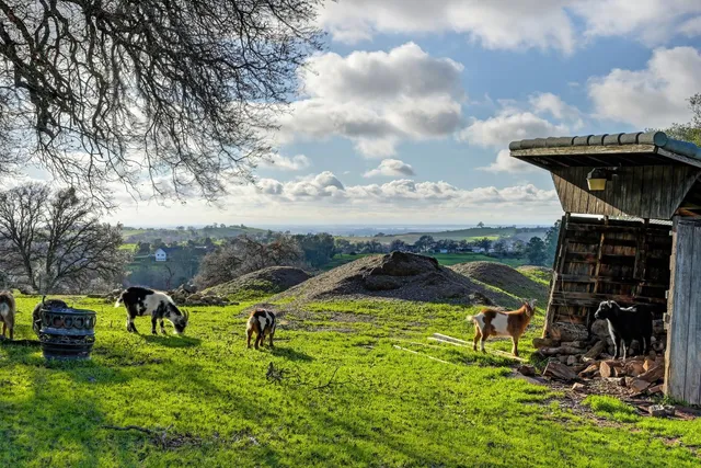 $1,149,000 | 8555 Vista Avenue, Lincoln, CA 95648