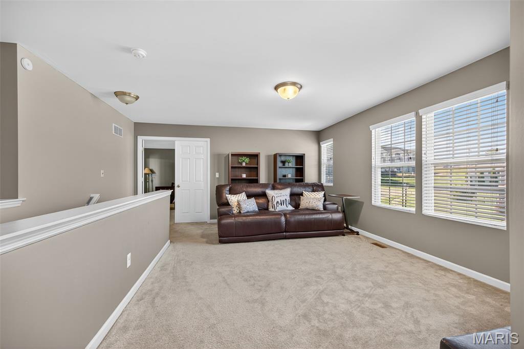 14 Bristol Ridge Court St. Charles, MO 63303 - Photo 16 of 33